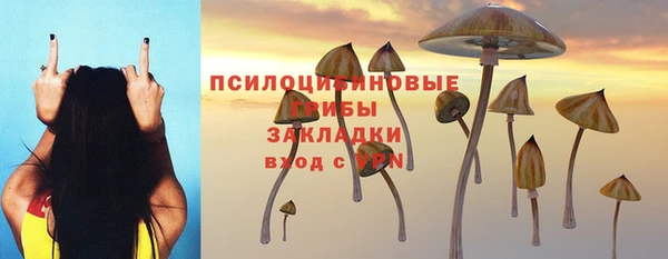 гидра Балабаново