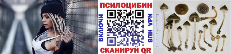 дарнет шоп  Яхрома  Галлюциногенные грибы мухоморы 