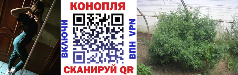 Шишки марихуана MAZAR  цены наркотик  Яхрома 